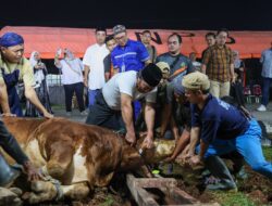 Kolaborasi Pemprov Banten dan Dapur PKK, Daging Kurban Untuk Penanganan Stunting