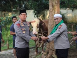 Polda Banten Sembelih 85 Hewan Qurban pada Idul Adha 1445 H