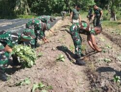 Program Pertanian Terpadu Korem 133/Nani Wartabone Untuk Wujudkan Kemandirian Pangan