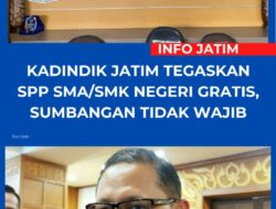 Platform Tiktok @infopasuruanjatim Dibanjiri Komentar Terkait Kadindik Jatim Tegaskan SPP SMA/SMK Negeri Gratis, Sumbangan Tidak Wajib