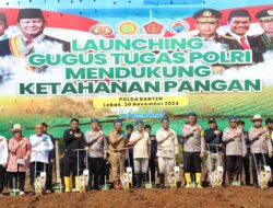 Wujudkan Ketahanan Pangan, Pj Gubernur Banten Al Muktabar: Terus Perkuat Sinergi dan Kolaborasi