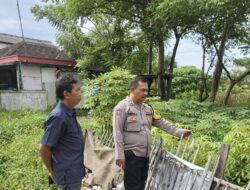 Dukung Ketahanan Pangan, Bripka Abdul Mujizat Ajak Warga Manfaatkan Lahan Pekarangan Rumah