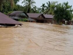 Curah Hujan Tinggi, Sei Kuatan Meluap,Banjir Terjang Dusun Tumbang Mamput di Kabupaten Kapuas