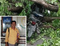 Tragedi Wonorejo Pasuruan: Pohon Tumbang Merenggut Nyawa, M. Hunin DPD BPAN-AI Geram !