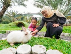 Manfaatkan Libur Panjang, Khofifah Seru-Seruan Panen Kurma Bareng Cucu di Pasuruan