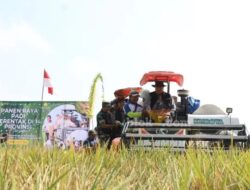 Menyongsong Swasembada Pangan Nasional, Bupati Jombang Bersama Dinas Pertanian Laksanakan Panen Raya