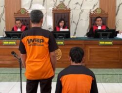 Terbukti Tanam Ganja Tiga Petani Lumajang di Vonis 20 Tahun 5 Bulan Penjara