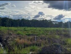 Diduga Tipu Ratusan Konsumen, Direktur PT. ZRP di Sintang Terancam Jerat Hukum Ganda