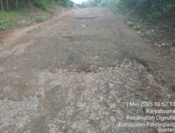Jalan Poros Desa Menuju Kampung Pematang Salam Rusak Parah, Warga Pilih Bungkam Saat Dikonfirmasi