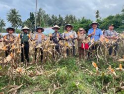 Kapolres Bitung dan Forkopinda mengikuti Zoom Panen Raya Jagung Kuartal II, Dukung Swasembada Pangan 2025