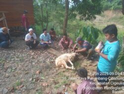 Direktur DPC Pelita Prabu, H. Karnadi Laksanakan Kurban di Sekrtariat DPC Pelita Prabu Pandeglang