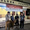 Polisi Berhasil Temukan Sapi Curian Milik Warga Tempeh Kidul di Perkebunan Jeruk Pasirian