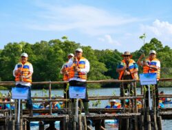 Perdagangan Karbon Mangrove Genjot Ekonomi RI