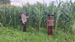 Dukung Asta Cita Presiden, Kapolsek Yosowilangun dan Bhabinkamtibmas Turun Langsung Kawal Ketahanan Pangan Warga