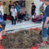 Dorong Pertanian Ramah Lingkungan, Mahasiswa KKN UINSA Ajak Petani Desa Dandang Beralih ke Pupuk Organik